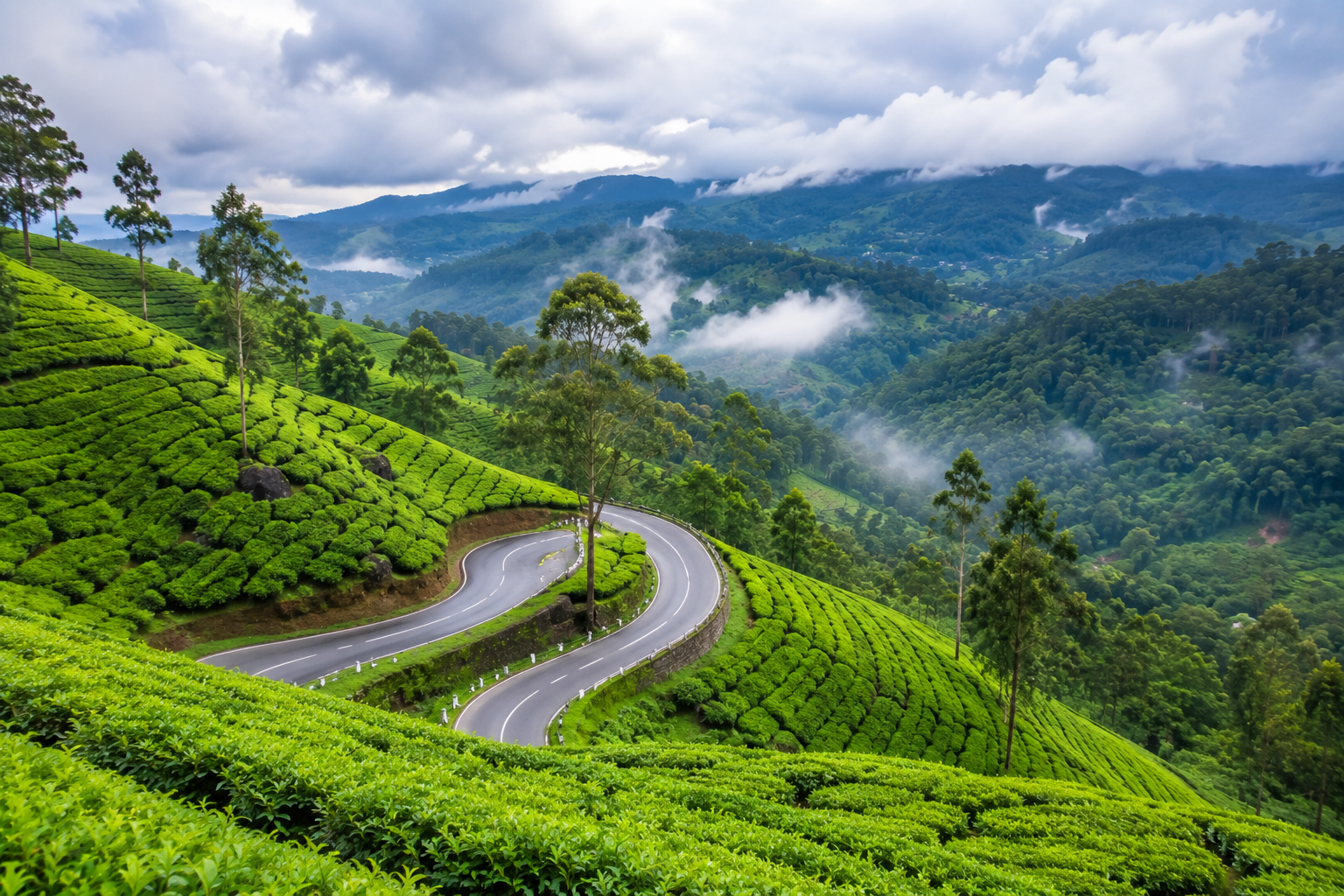 Valparai tour package with tea estates and mountain roads